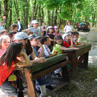 Дирекцията на Природен парк „Странджа“ стартира образователна кампания за природата